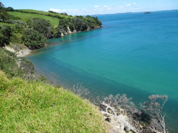 Waiheke Island, NZ – Auckland, New Zealand – photo 11
