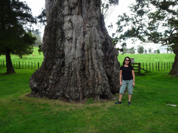 Cornwall Park, Auckland NZ – Albert-Eden, New Zealand – photo 10