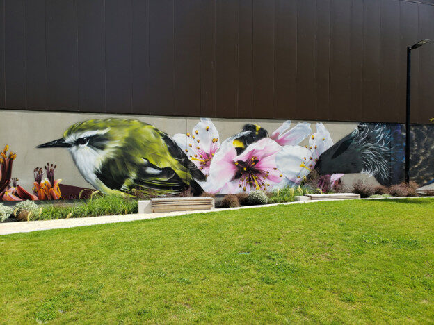 Street art – Christchurch, NZ – Linwood-Central-Heathcote Community, Canterbury – photo 18