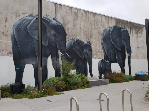 Street art – Christchurch, NZ – Linwood-Central-Heathcote Community, Canterbury – photo 8