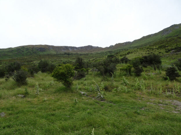 Roy’s Peak, Wanaka NZ – Wānaka, Otago – photo 12