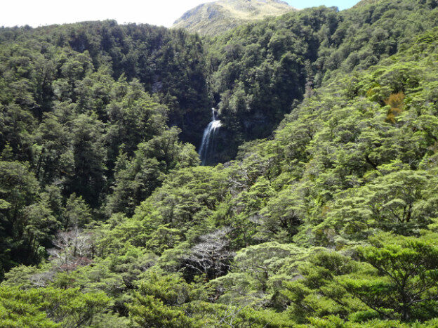 Arthur’s Pass, NZ – Arthur's Pass, Canterbury – photo 10