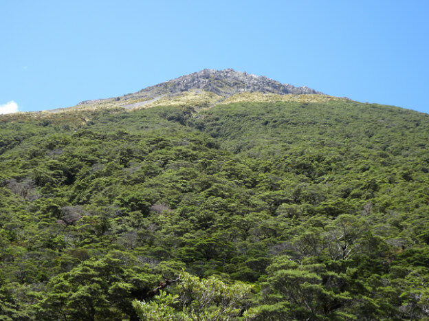Arthur’s Pass, NZ – Arthur's Pass, Canterbury – photo 11