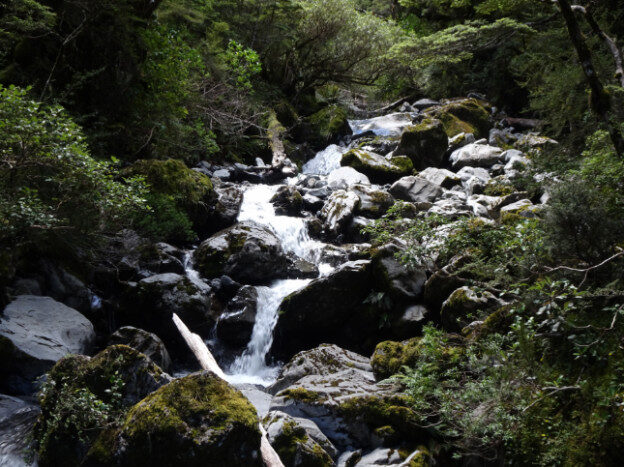 Arthur’s Pass, NZ – Arthur's Pass, Canterbury – photo 12