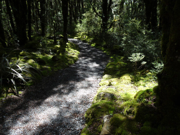 Arthur’s Pass, NZ – Arthur's Pass, Canterbury – photo 4