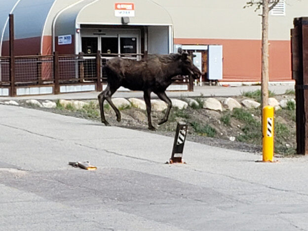 Keystone, CO – Colorado, United States – photo 3