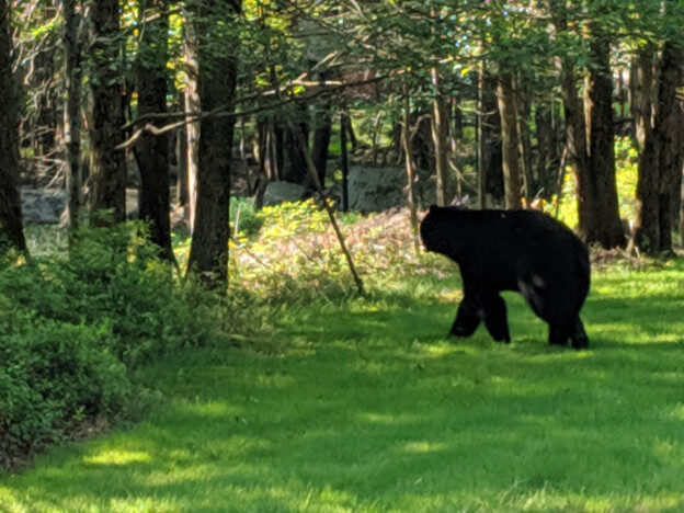 Pocono Mountains, PA – Tunkhannock Township, Pennsylvania – photo 5
