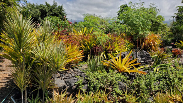 Kailua Beach, Kona HI – Hawaii, United States – photo 7
