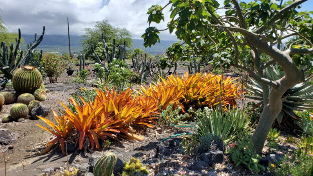 Kailua Beach, Kona HI – Hawaii, United States – photo 5