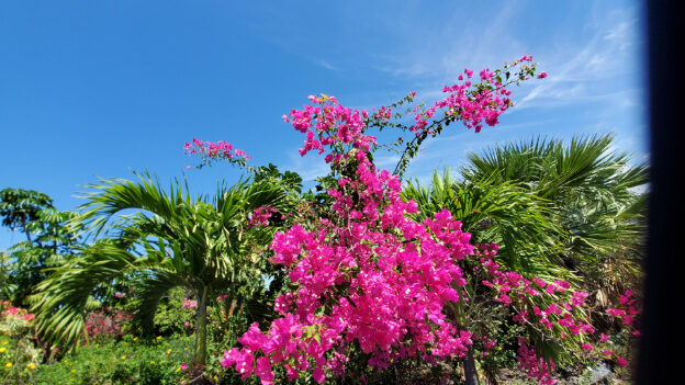 Kailua Beach, Kona HI – Hawaii, United States – photo 2
