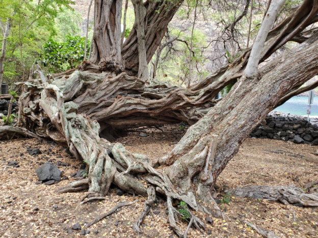 Kealakekua Bay, HI – Honaunau-Napoopoo, Hawaii – photo 3