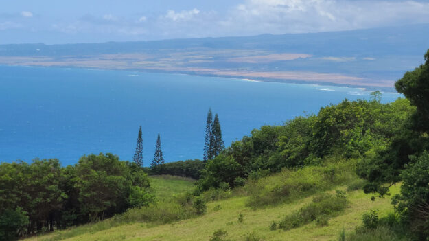 Waihee Ridge Trail, Wailuku, HI – Waiheʻe, Hawaii – photo 7