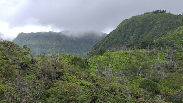 Waihee Ridge Trail, Wailuku, HI – Waiheʻe, Hawaii – photo 10