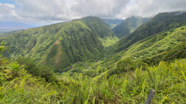 Waihee Ridge Trail, Wailuku, HI – Waiheʻe, Hawaii – photo 12