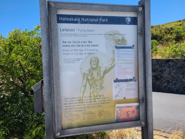 Haleakala National Park, Maui, HI – Hawaii, United States – photo 16