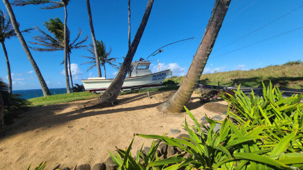 Mama’s Fish House, Paia, HI – Lower Paia, Hawaii – photo 1