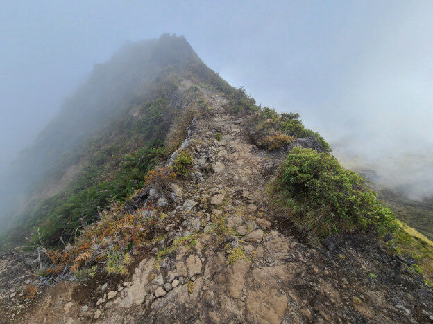 Haleakala National Park (Halemau’u trail), Maui HI – Hawaii, United States – photo 6