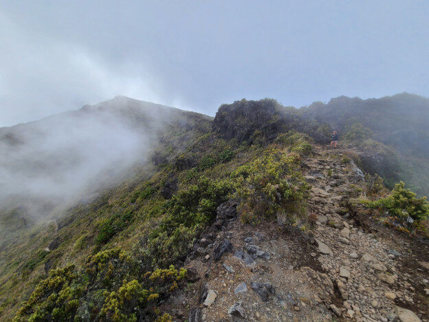 Haleakala National Park (Halemau’u trail), Maui HI – Hawaii, United States – photo 3