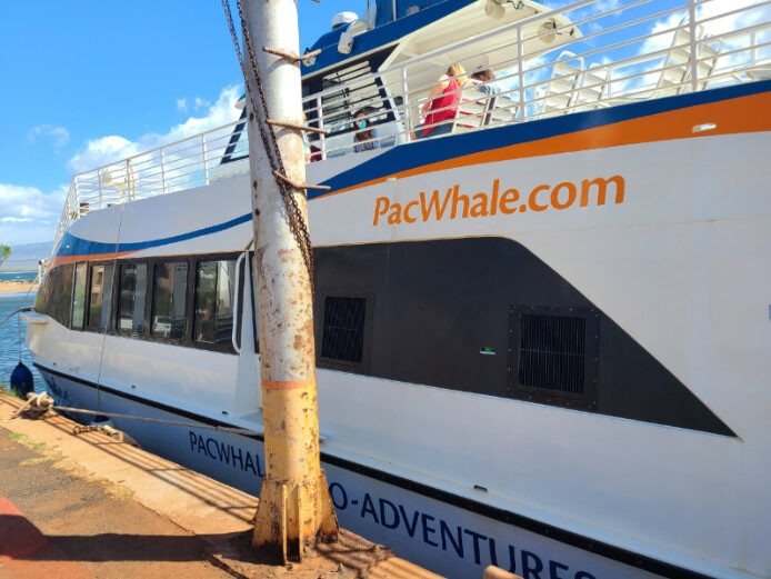 Whale Watching (trip 2) Maalaea Harbor, HI – Hawaii, United States – photo 12