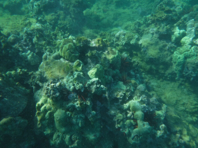Keawakapu Beach snorkeling, Maui – Wailea, Hawaii – photo 1