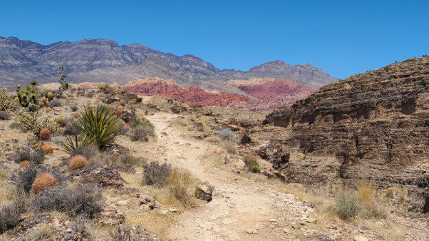 Red Rock Canyon National Conservation Area, Las Vegas, NV – Nevada, United States – photo 4
