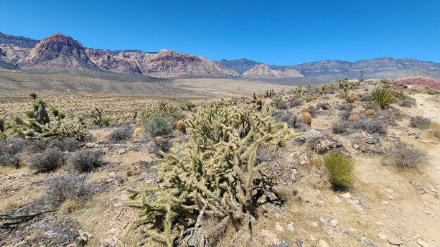 Red Rock Canyon National Conservation Area, Las Vegas, NV – Nevada, United States – photo 5