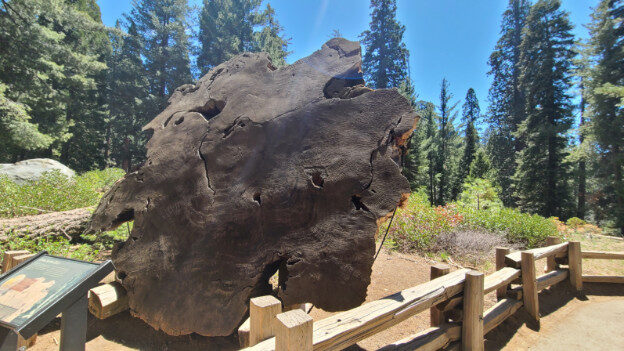 Sequoia National Park, CA – California, United States – photo 11