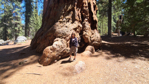Sequoia National Park, CA – California, United States – photo 5