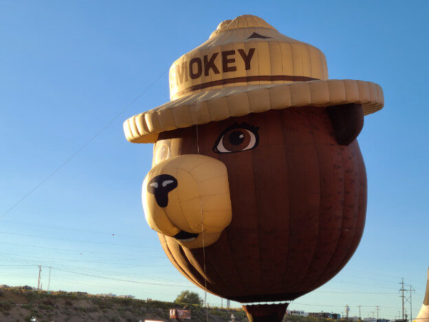 Albuquerque Balloon Fiesta, Albuquerque, NM – New Mexico, United States – photo 19