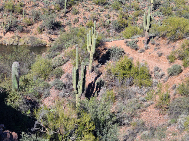 Saguaro Lake, AZ – Arizona, United States – photo 4