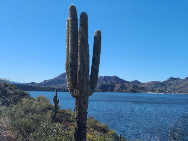Saguaro Lake, AZ – Arizona, United States – photo 5