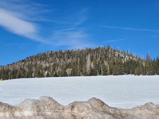 Dixie National Forest, Cedar City, UT – Utah, United States – photo 3