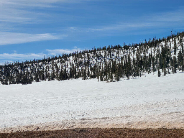 Dixie National Forest, Cedar City, UT – Utah, United States – photo 2