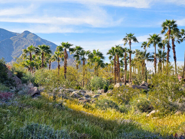 Palm Springs, California – United States – photo 8