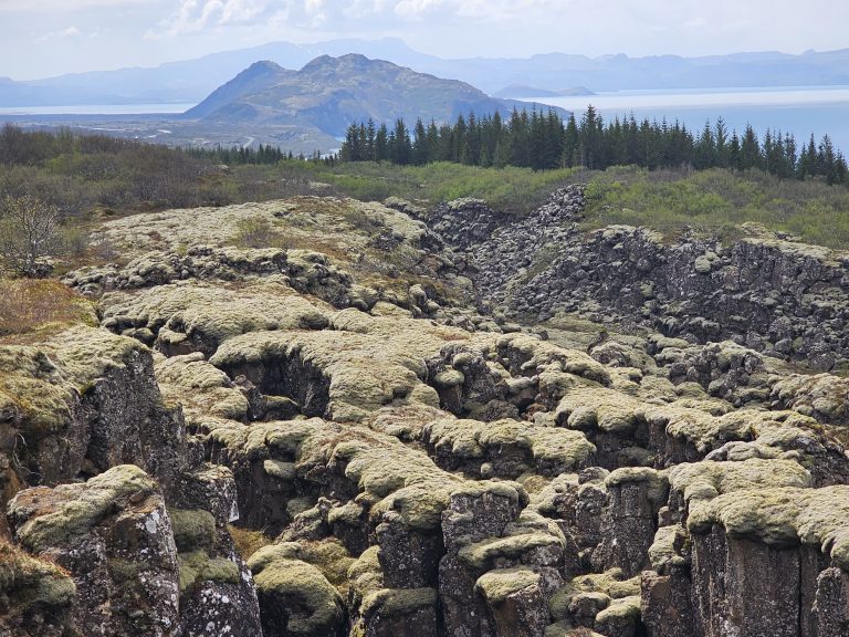 Golden Circle Tour, Iceland – Southern Region – photo 12