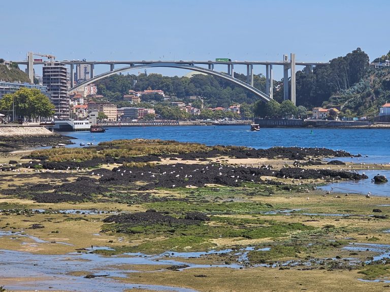 Hop on Hop off bus tour, Porto, Portugal – Rio Tinto – photo 5