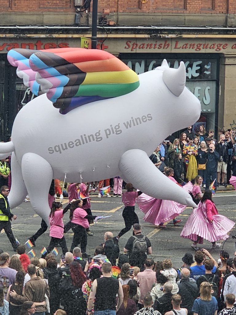 Manchester gay pride parade, Manchester, England – United Kingdom – photo 12