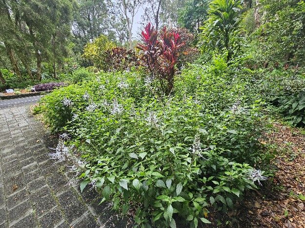 Coffs Harbour, AU – New South Wales, Australia – photo 5