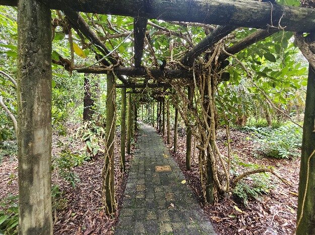 Coffs Harbour, AU – New South Wales, Australia – photo 4
