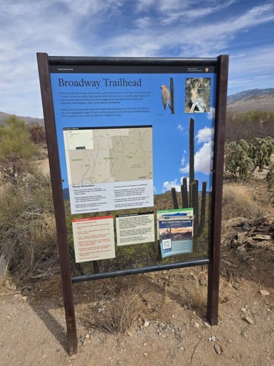 Saguaro National Park, Tucson, AZ