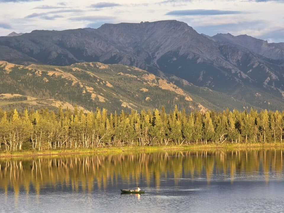 Denali National Park, AK – Alaska, United States – photo 7