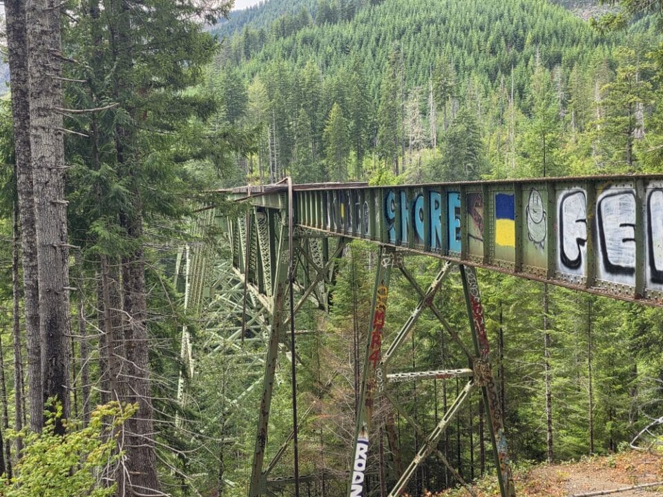 Vance Creek Bridge, Shelton, WA – Washington, United States – photo 2