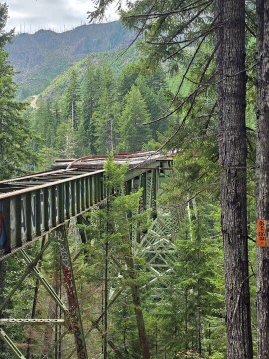 Vance Creek Bridge, Shelton, WA – Washington, United States – photo 1