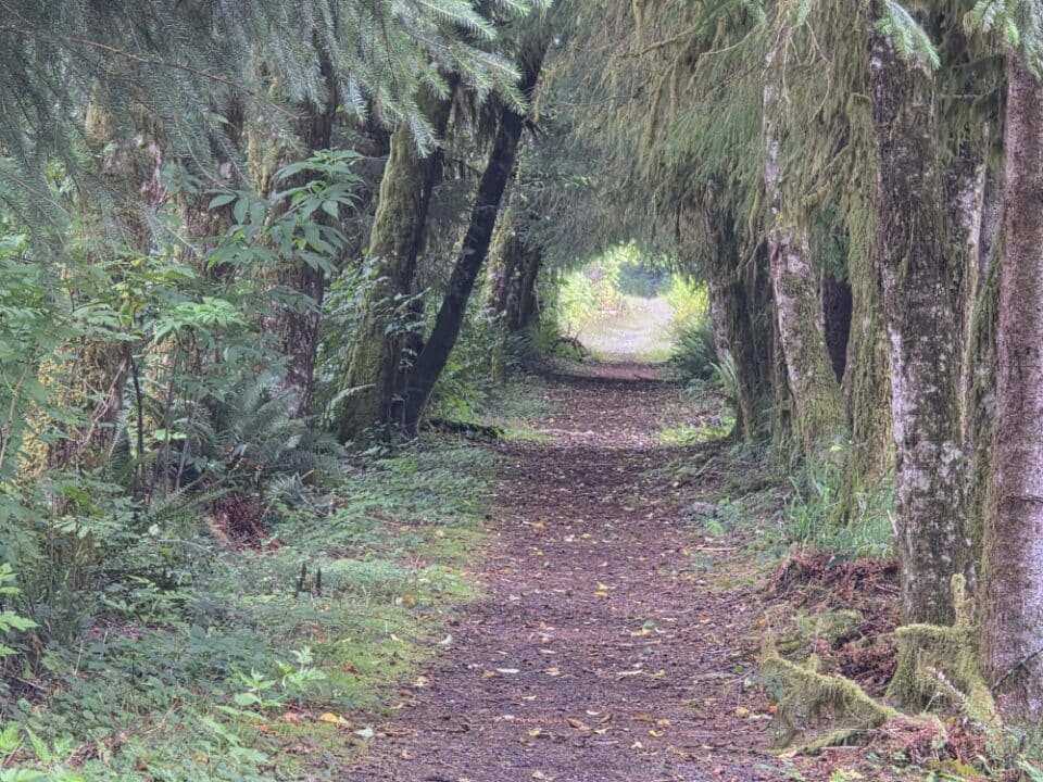 Astoria, OR – Oregon, United States – photo 8