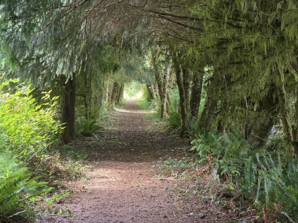 Astoria, OR – Oregon, United States – photo 7