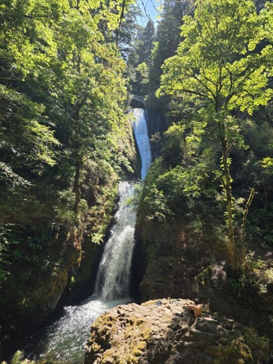Columbia River Gorge National Scenic Area, OR – Cascade Locks, Oregon – photo 6