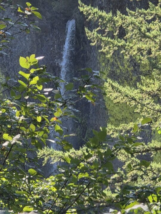 Columbia River Gorge National Scenic Area, OR – Cascade Locks, Oregon – photo 4
