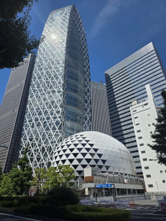 Tokyo, Japan – Shinjuku – photo 11