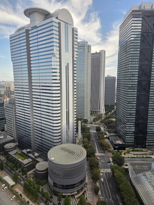 Tokyo, Japan – Shinjuku – photo 2