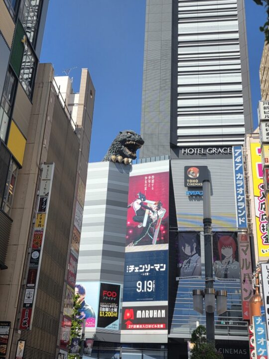 Tokyo, Japan – Shinjuku – photo 12